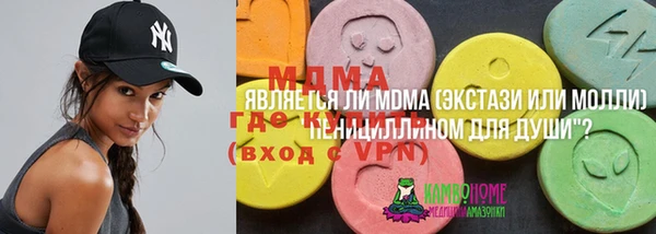 индика Нягань