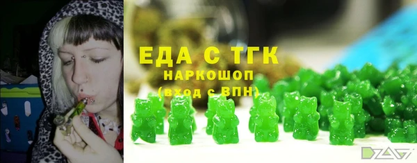 индика Нягань