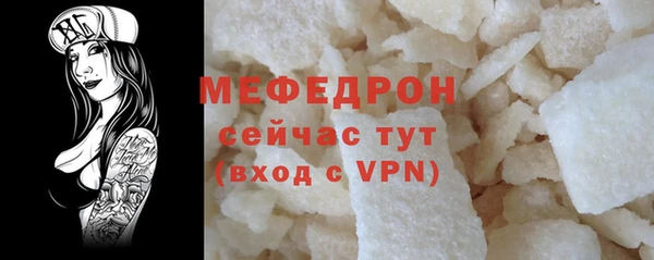 индика Нягань