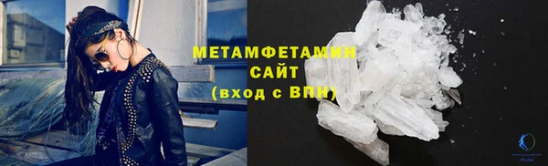 индика Нягань