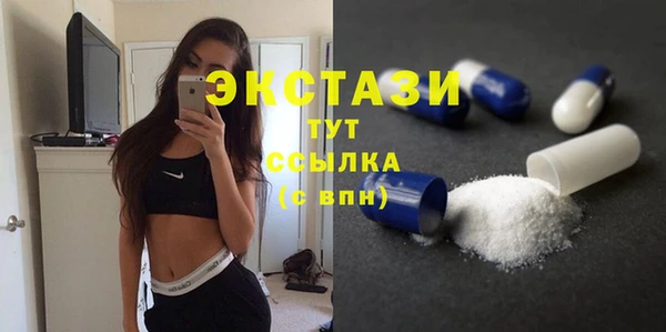 индика Нягань