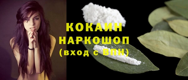 индика Нягань