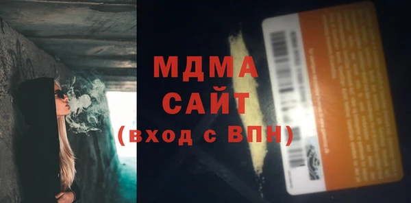 индика Нягань