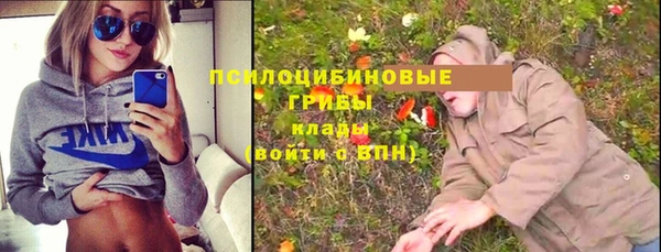 индика Нягань