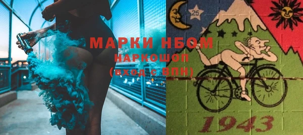 индика Нягань
