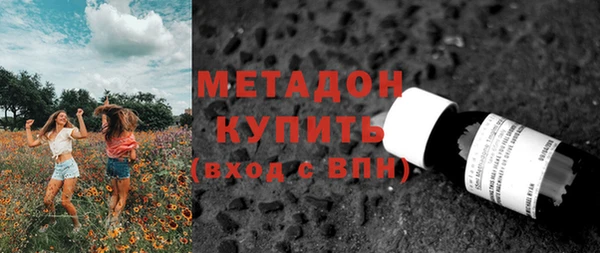 индика Нягань