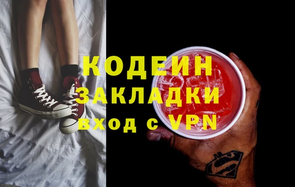 индика Нягань