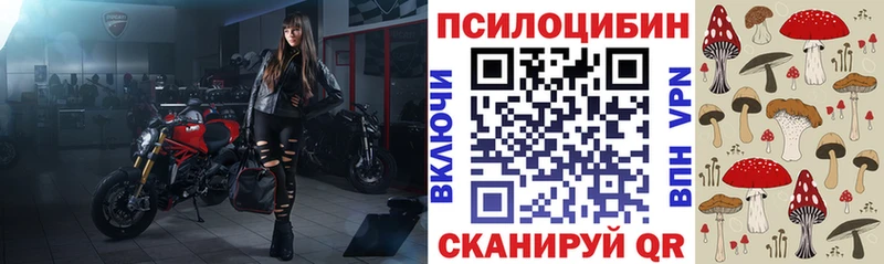 Галлюциногенные грибы мицелий  Петровск 