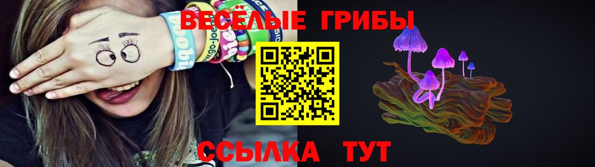 Галлюциногенные грибы GOLDEN TEACHER  Галлюциногенные грибы Cubensis  Вход с VPN  Петровск 